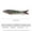 1#, variant on PASILI Biomimetic 8-Segment Fishing Lures: Sinking Wobblers For Bass Fishing!