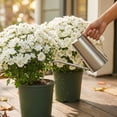 thumbnail image 6 of 21 Artificial Chrysanthemums 10 Pieces, Faux Mum Flowers for Wedding Centerpiece, Home Decoration for Dining Table, Realistic Silk Chrysanthemum Bulk Set, 6 of 7