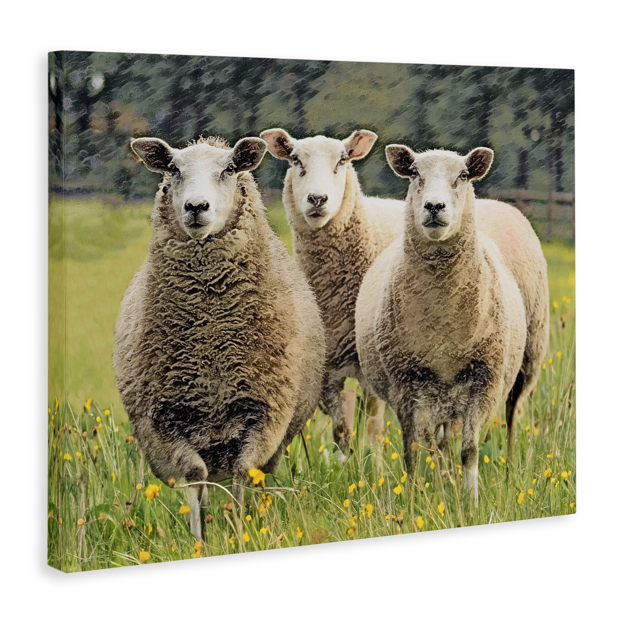 Stupell Industries Sheep Grazing in Grass Animals & Insects Painting Gallery Wrapped Canvas Art Print Wall Art, 40 x 30