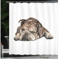 thumbnail image 4 of Ambesonne Bulldog Shower Curtain, Single Hand Drawn Bulldog, 69"Wx70"L, Charcoal Grey and White, 4 of 5