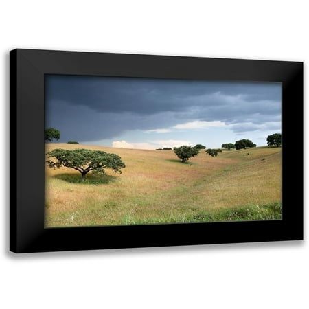 Hellmann, Stan 14x11 Black Modern Framed Museum Art Print Titled - Cork Trees in Approaching Storm