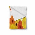 thumbnail image 2 of Gerber Daisy Soft Flannel Fleece Blanket, Orange and Yellow Color Flowers on Green Stems Horizontal Border, Cozy Plush for Indoor and Outdoor Use, 50" x 70", Orange Yellow and Green, by Ambesonne, 2 of 6