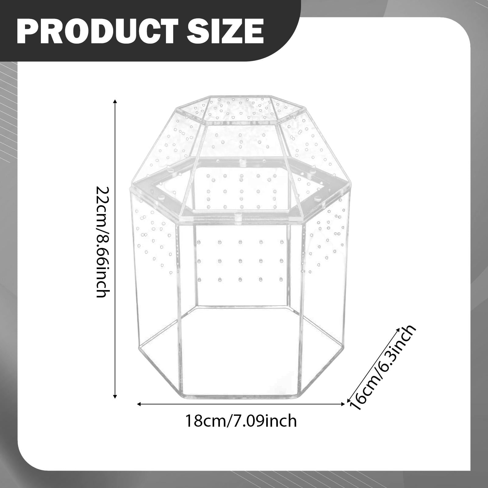 Small Reptile Terrarium Spider Box Vertical Tarantula Enclosure Acrylic Material for Classroom Display and Home Decor
