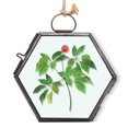 thumbnail image 1 of Hanging Glass Frame for Pressed Flowers, Clear Glass Floating, 1 of 4