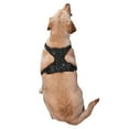 thumbnail image 3 of Gaeub Spider Web Black Gaeub Spider Web Black No Pull Dog Harness, Secure and Adjustable Pet Vest for Outdoor Activities - Small, 3 of 8