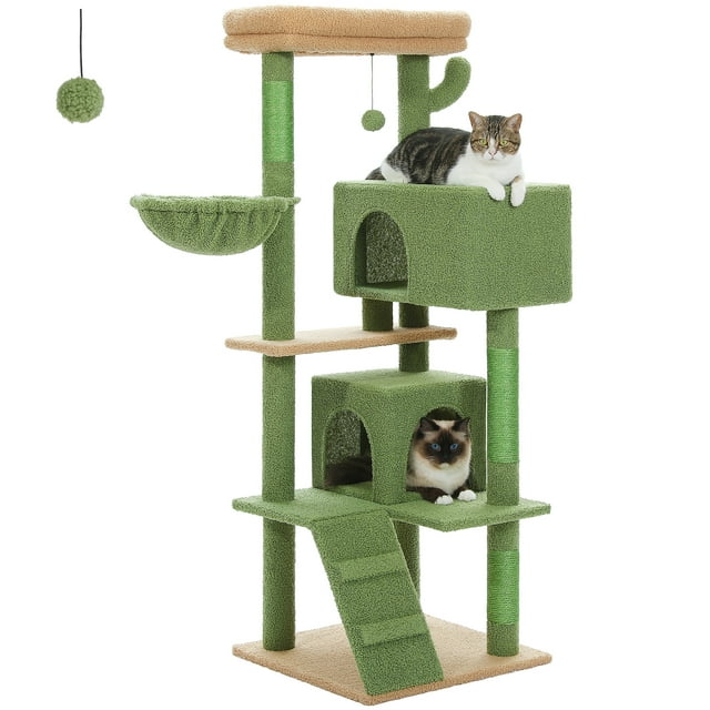 PAWZ Road Arbre à Chat Multi-Niveaux 56 Pouces avec 2 Condos et Hamac pour Grand Chat Intérieur Cactus Vert