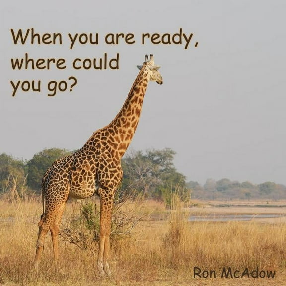 When you are ready, where could you go?, (Paperback)