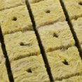 thumbnail image 4 of LEEYNEER Hydroponic Growing Kit Green Plants Flower Pots Small Spaces Little  Cubes, 4 of 6