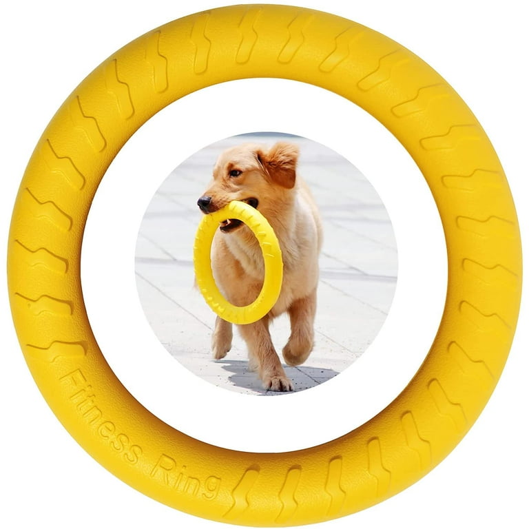 Small Dog Fitness Ring Dog Bite Ring Dog Training Ring, Pet Dog