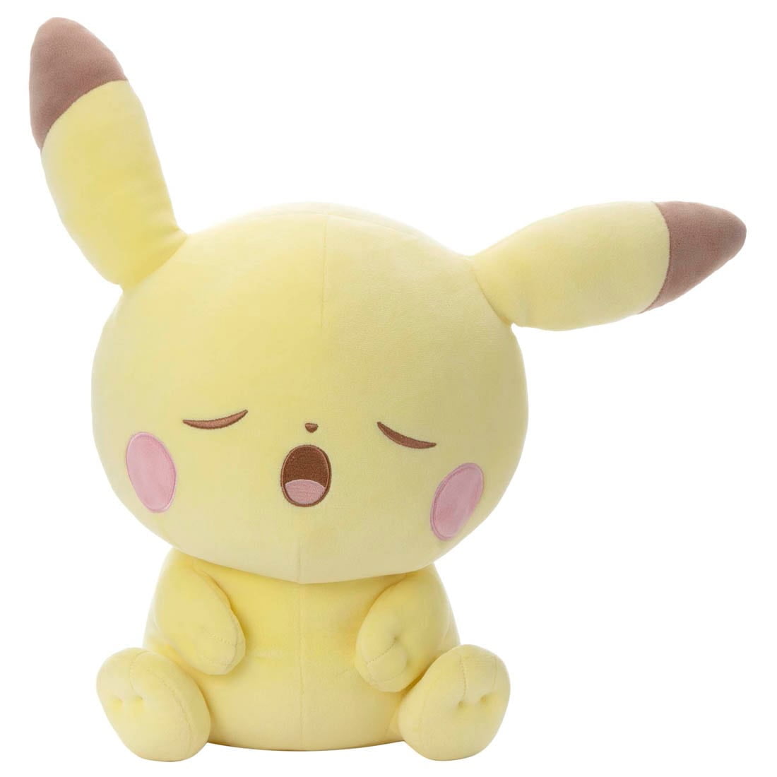 Sleeping Pikachu Pokemon Peaceful Place