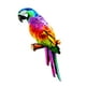 thumbnail image 2 of Escultura colgante de loros artificiales Colco Estatua de loro estilo A, 2 of 7