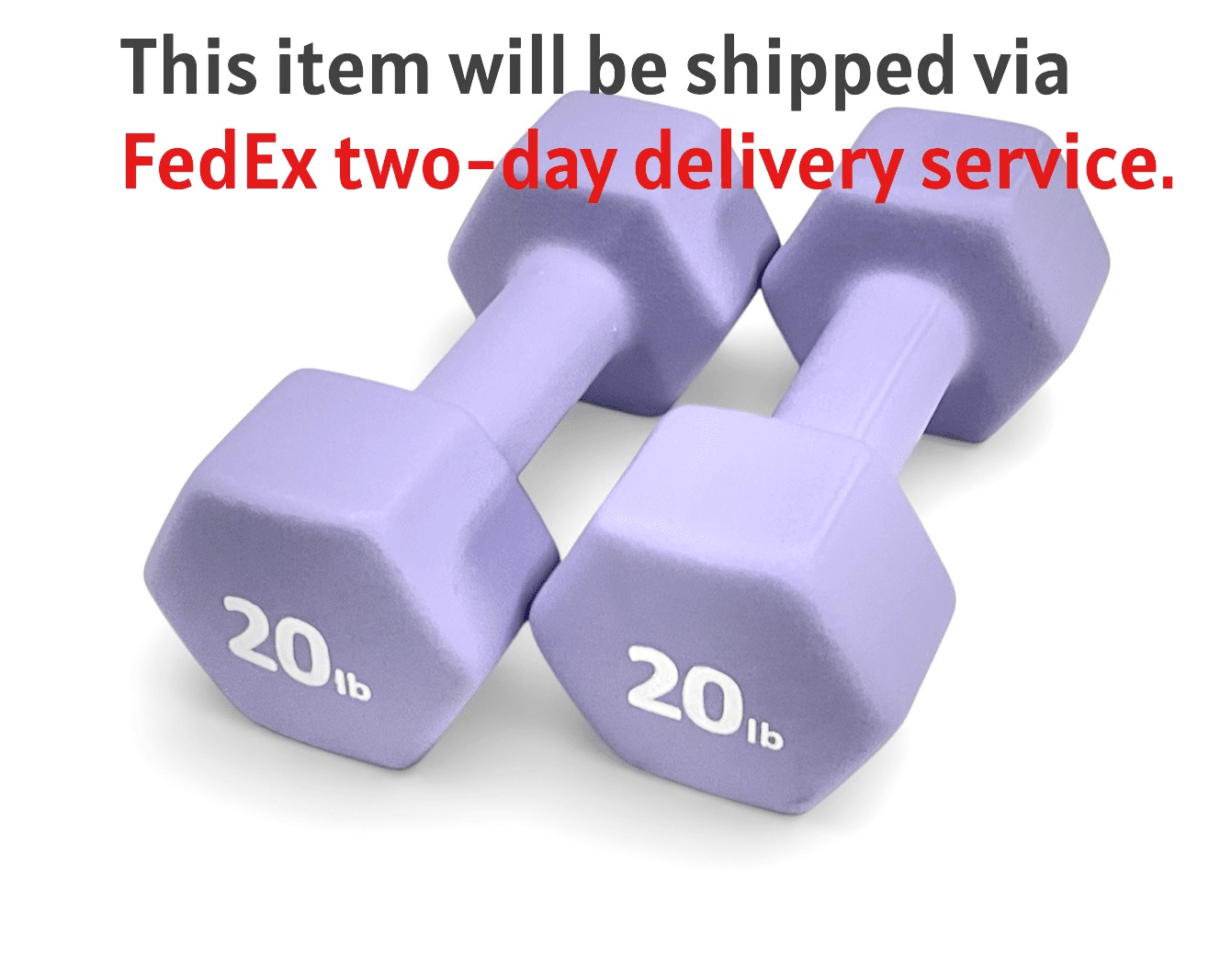 Rainforest Basics Neoprene 20LB Hex Dumbbell Hand Weights Set of 2