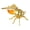 Gold, variant on Honey Container - Bee-Shaped Transparent Jar with Spoon, Kitchen Gadget | Decorative for Breakfast Cooking Baking Cake Holiday Birthday Party Flour Sugar Tea Loose