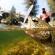 thumbnail image 5 of Cebo De Pesca Artificial Señuelo De Pececillo Señuelos De Cebo Artificial Prácticos Para Peces ANGGREK Otros, 5 of 8