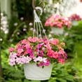 thumbnail image 2 of Shisuyan 10pcs Flower Pot Hanger Hooks Wall Mounted Plant Brackets For Use For Decorating Balcony And Dining Table, 2 of 9