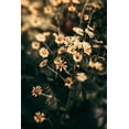 thumbnail image 2 of Joy, Olivia 17x24 Gold Ornate Wood Framed with Double Matting Museum Art Print Titled - Little Garden, 2 of 4