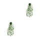 thumbnail image 4 of Planta No tóxica Wosthever eucalipto largo 2Conjunto decoración de escritorio, 4 of 6