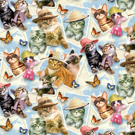 Framed Cats Kittens in Hats Butterflies Pattern Premium Roll Gift Wrap Wrapping Paper