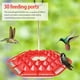 thumbnail image 3 of Muyoka Comederos para p谩jaros colgantes, Kit de estaci贸n de alimentaci贸n para p谩jaros, bebedero de agua para colibr铆 de 400ml con 30 Uds. De orificios de alimentaci贸n para exteriores, 3 of 7
