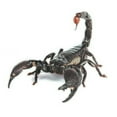 thumbnail image 2 of ZNNT 3D Spider Lizard Scorpion Car Sticker Vehicle Window Mirror Bumper Decal Decor Clearance_Car Sticker, 2 of 8