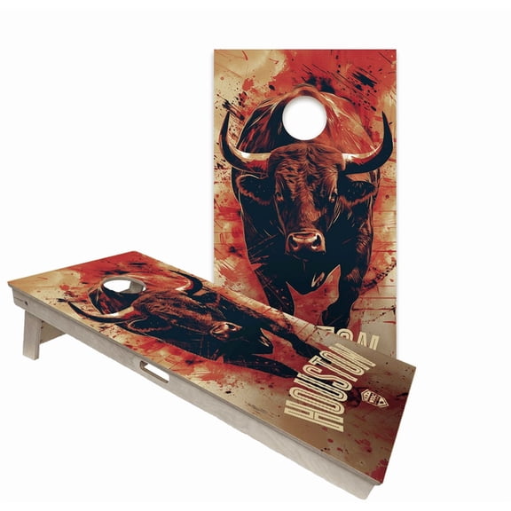 Skip's Garage | Houston Backyard 2x4 Cornhole Board Set with Bags