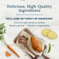 thumbnail image 4 of Blue Buffalo Tempting Toppers Natural Wet Dog Food Topper Variety, Lamb & Turkey Dinner 100g, 4 of 7