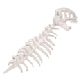 thumbnail image 3 of Disfraz de esqueleto de dinosaurio para Halloween, ideal para fiestas temáticas de disfraces y juegos de rol realistas. Blanco, 3 of 10