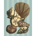 thumbnail image 2 of Vision Studio 26x32 White Modern Wood Framed Museum Art Print Titled - Shell and Coral on Aqua II, 2 of 4