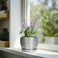 thumbnail image 5 of Ordivic 6 inch Silver Textured Ceramic Planter with Saucer, Indoor Plant Pot with Drainage Hole for Snake Plant, Succulents & Pothos, 5 of 6
