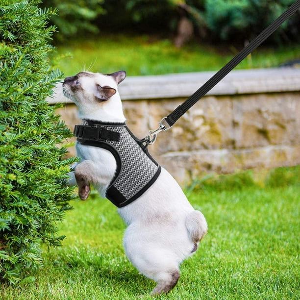 IGUOHAO Cat Harness and Leash Escape Proof for Walking