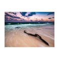 thumbnail image 1 of Ambesonne Driftwood Jigsaw Puzzle, Driftwood on Beach, Heirloom-Quality Fun Activity for Family Durable Cardboard, 1000 pcs, Sand Brown Apricot, 1 of 5