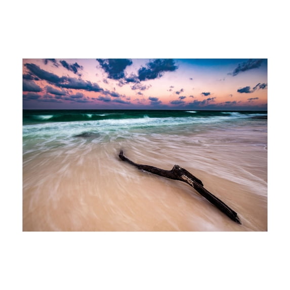 Ambesonne Driftwood Jigsaw Puzzle, Driftwood on Beach, Heirloom-Quality Fun Activity for Family Durable Cardboard, 1000 pcs, Sand Brown Apricot