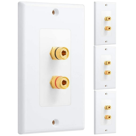 Speaker Wire Wall Plate