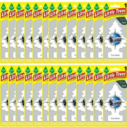 Little Trees True North Car & Home Hanging Air Fresheners, Pack of 24