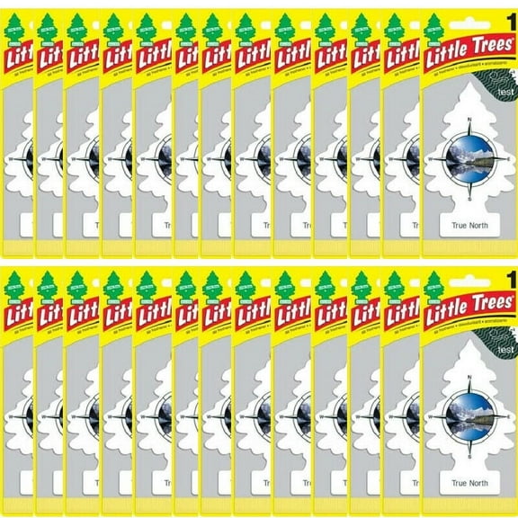 Little Trees True North Car & Home Hanging Air Fresheners, Pack of 24
