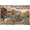 dgs8903, variant on Funny Raccoon Sign Room Decor Relax We Are All Crazy It Is Not A Competition Wall Art Animal Lovers Coworkers Office Bedroom Living Room Cabin 8x12Inch