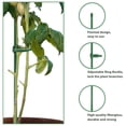 thumbnail image 3 of Anvazise 6Pcs/12pcs Plant Support Stakes with Rings Floral Arrangements Growing Vegetables Green Plant Support Sticks Garden Supplies 12pcs 40cm, 3 of 13