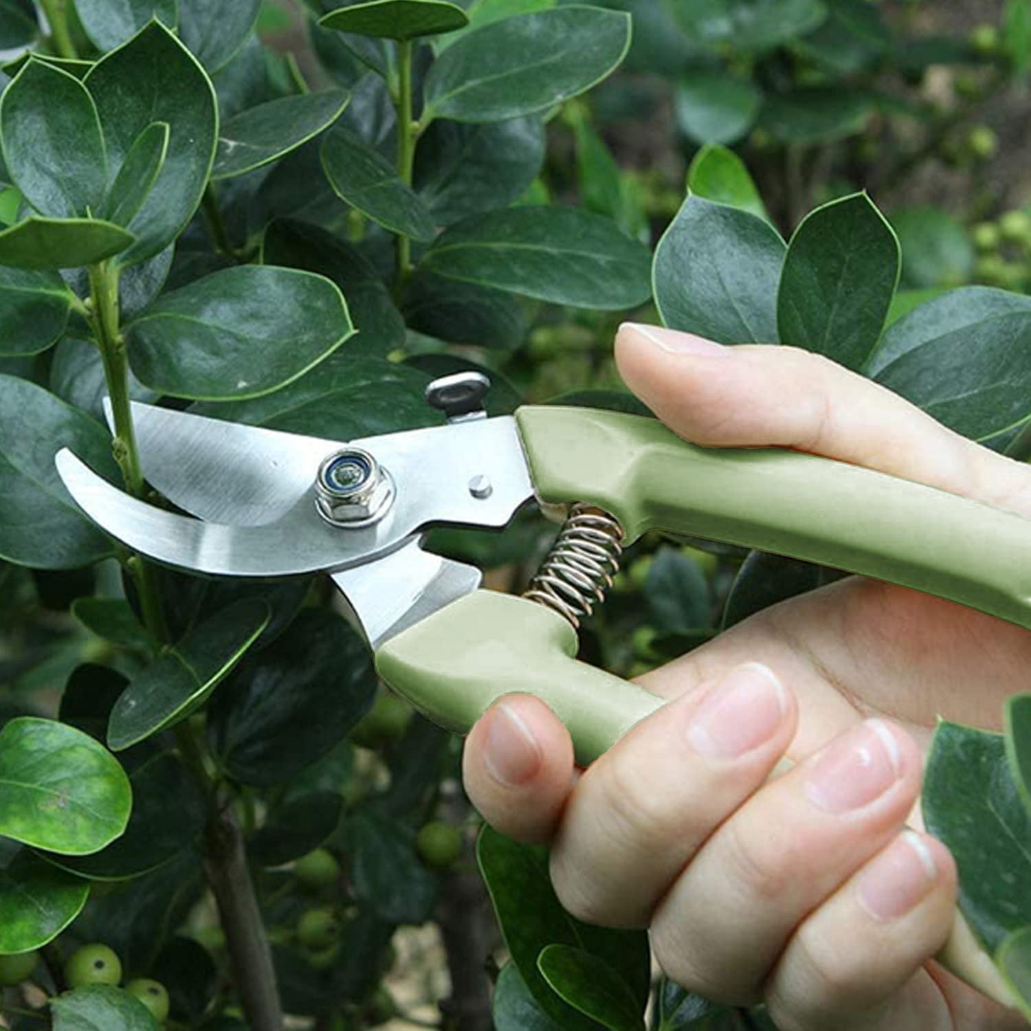 Genreen Gardening Scissor 2PCS Sharp Stainless Steel Blade Garden Shears Cutting Flowers Trimming Plants Yard Florist Flower Rose Herb Hedge Bonsai Fruits Picking