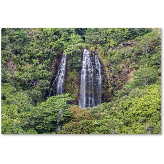 Trademark Fine Art 'Opaekaa Falls' Canvas Art by Pierre Leclerc