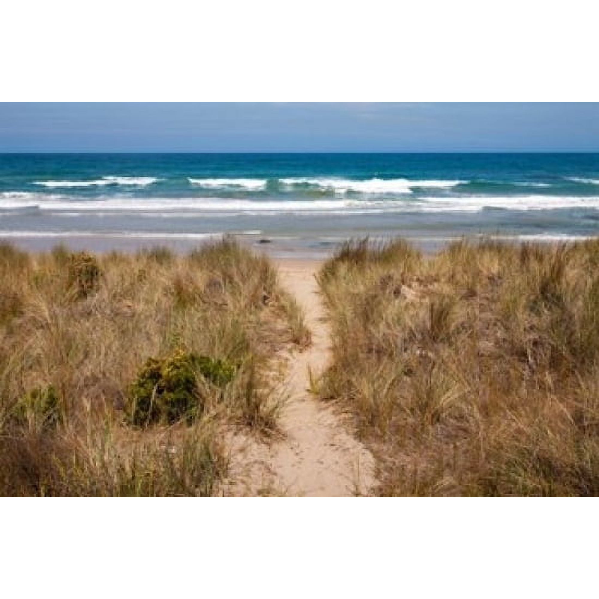 Australia Victoria Great Ocean Road Beach Canvas Art - Paul Souders DanitaDelimont (36 x 24)