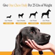 Pet Honesty Allergy Support Peanut Butter Flavored Colostrum & Turmeric Chews, Itchy Skin, Immune & Allergy Relief Supplement for Dogs, 90 count