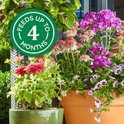 Osmocote Smart-Release Plant Food Flower & Vegetable, 2 lb.