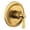 Brushed Gold, variant on Moen UTS2911 Silver Zinc 1 Handle Shower Valve Trim