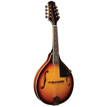 morgan monroe rt-m1 mandolin ,