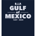 thumbnail image 2 of RIP Gulf of Mexico 1607-2025 Youth Navy Blue Crew Neck Short Sleeve Tee-Medium, 2 of 4