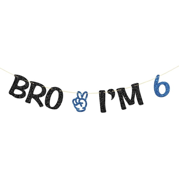 Bro I'm 6 Banner - Boy 6th Birthday Party Supplies - Six Years Old - Big Brother 6th Birthday Party Decoration - Blue Glitter