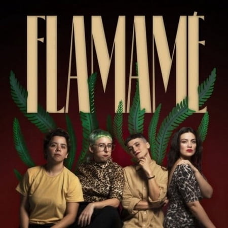 Flamame - Flamame - Music & Performance - Vinyl