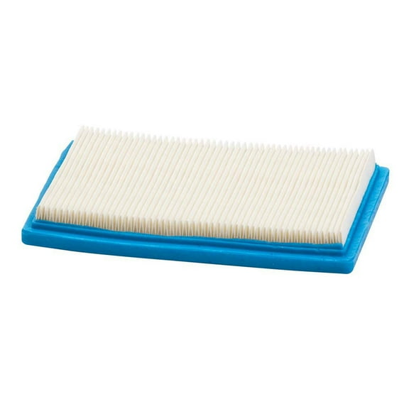 Briggs & Stratton Genuine OEM 397795S Air Filter