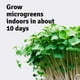 thumbnail image 5 of Microgreens Growing Kit Mountain Valley Seed Salad Mix, 5 of 7