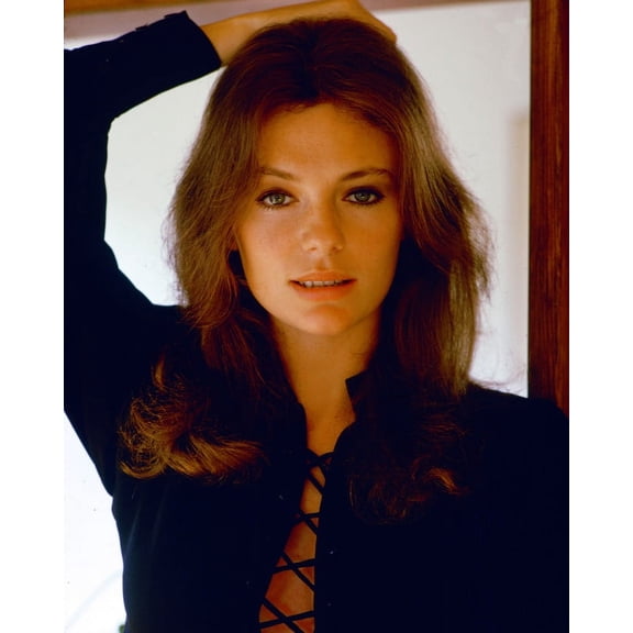 Jacqueline Bisset 24X36 Classic Hollywood Poster Glamorous 1970's Glamorous